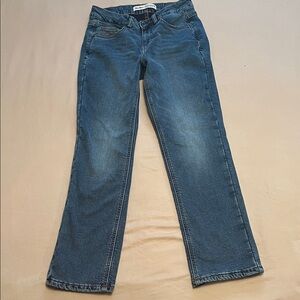 WindRiver Women's Lined 4x30 Straight-Leg  Curvy Fit Denim